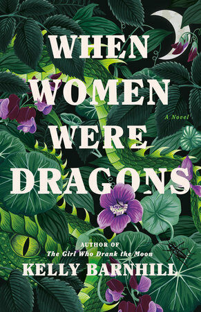 When Women Were Dragons (Paperback)