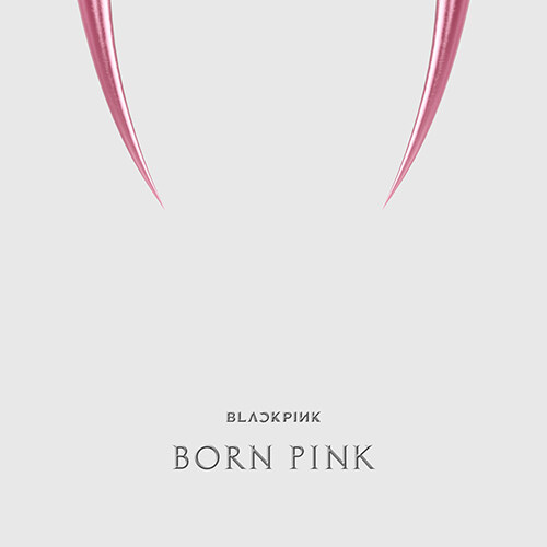 블랙핑크 - BLACKPINK 2nd ALBUM [BORN PINK] KiT ALBUM