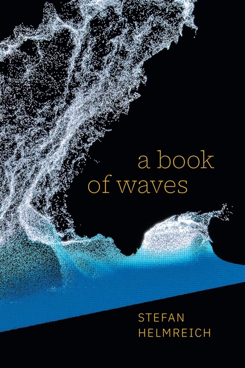 A Book of Waves (Paperback)