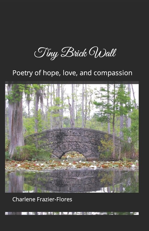 Tiny Brick Wall: Poetry of hope, love, and compassion (Paperback)