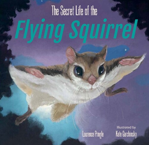 The Secret Life of the Flying Squirrel (Hardcover)