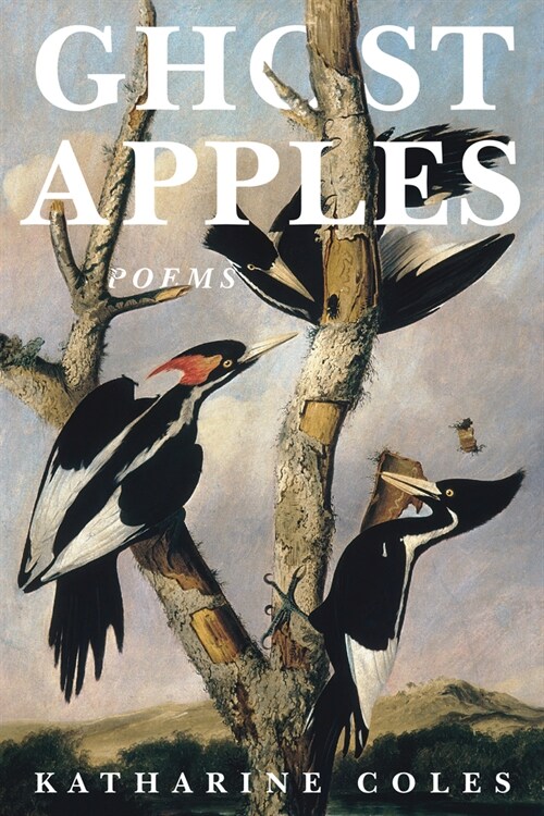 Ghost Apples (Paperback)