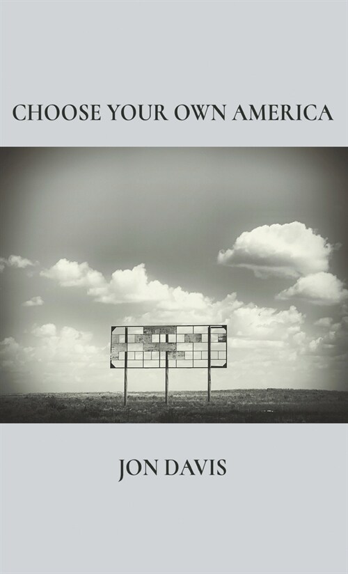 Choose Your Own America (Hardcover)