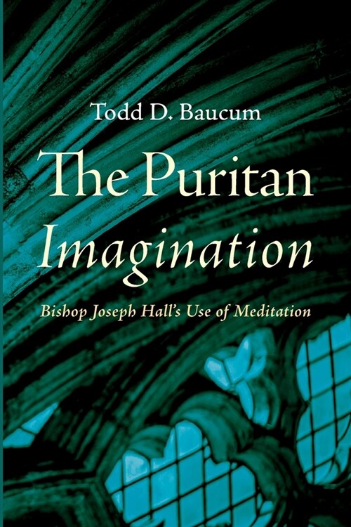 The Puritan Imagination (Paperback)