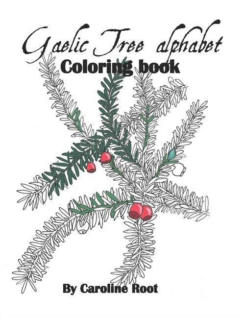 Gaelic Tree Alphabet Coloring Book (Paperback)