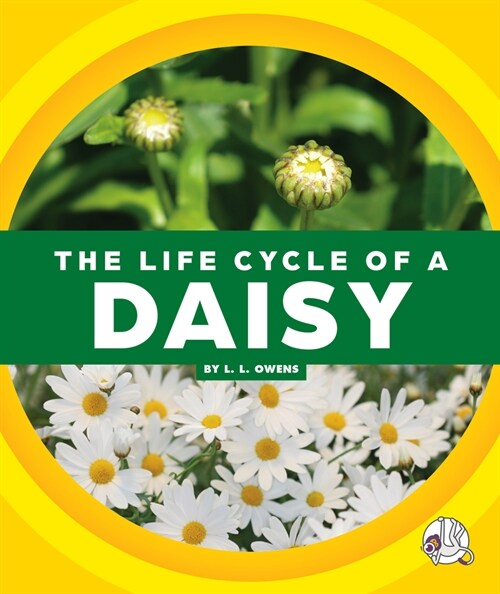 The Life Cycle of a Daisy (Library Binding)