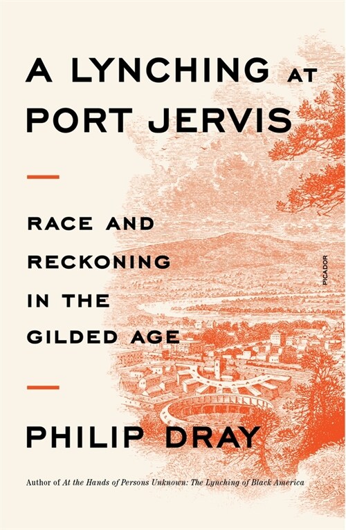 A Lynching at Port Jervis: Race and Reckoning in the Gilded Age (Paperback)