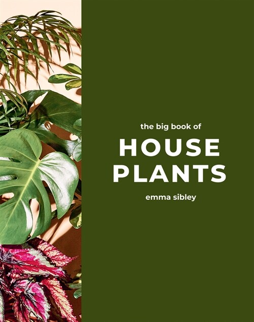 The Big Book of House Plants (Hardcover)