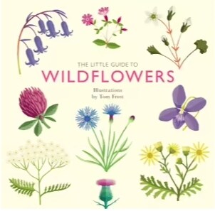 The Little Guide to Wildflowers (Hardcover)