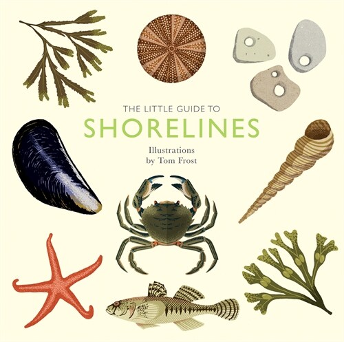 The Little Guide to Shorelines (Hardcover)