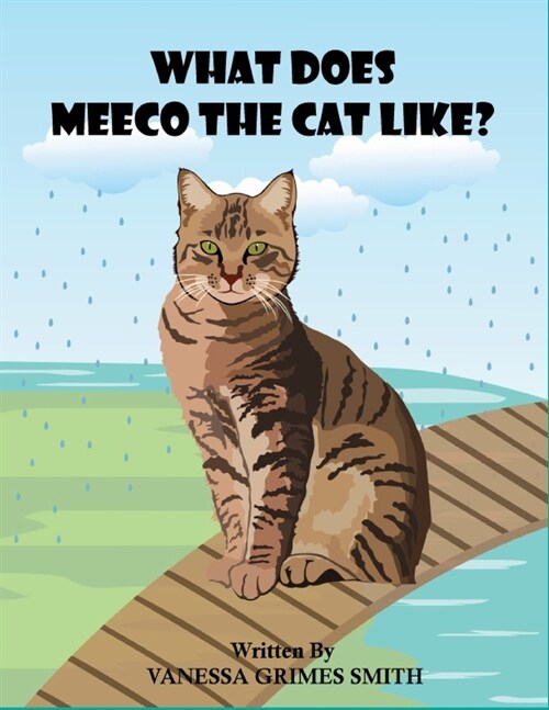 What Does Meeco The Cat Like? (Paperback)