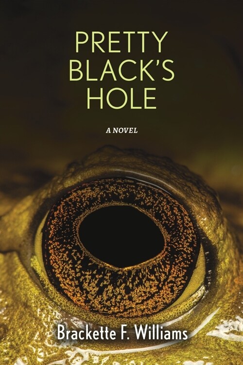 Pretty Blacks Hole (Paperback)