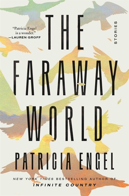 The Faraway World: Stories (Hardcover)