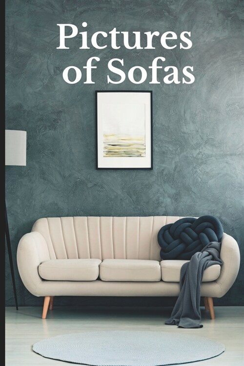 Pictures of Sofas: Funny White Elephant, Secret Dirty Santa Gift, (Stupid Gifts Ideas) (Paperback)