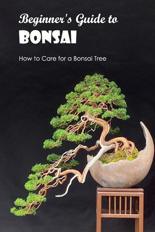 Beginners Guide to Bonsai: How to Care for a Bonsai Tree: How to Grow a Bonsai. (Paperback)