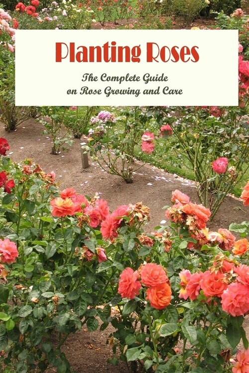 Planting Roses: The Complete Guide on Rose Growing and Care: Gardening with Roses. (Paperback)