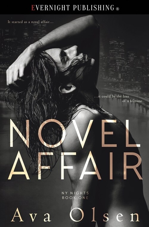 Novel Affair (Paperback)