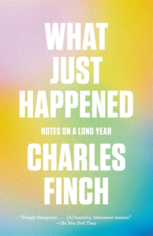 What Just Happened: Notes on a Long Year (Paperback)