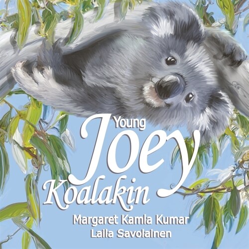 Young Joey Koalakin: A Fun Day (Paperback)