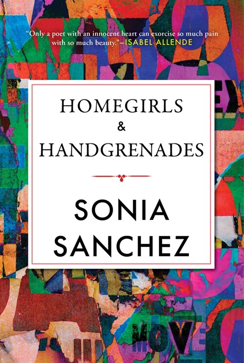 Homegirls & Handgrenades (Paperback)