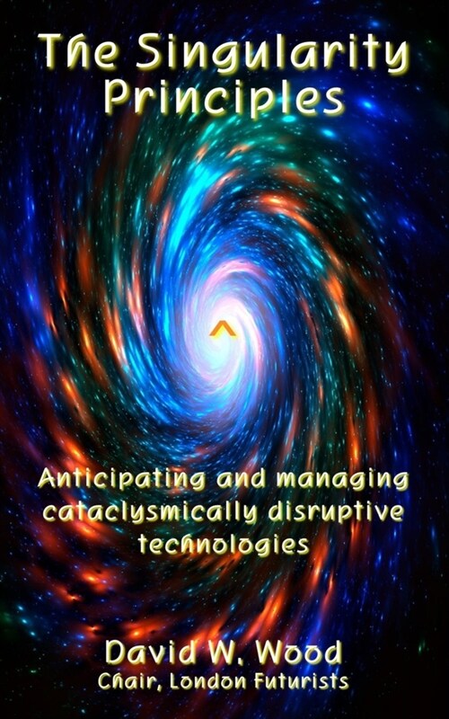 The Singularity Principles: Anticipating and managing cataclysmically disruptive technologies (Paperback)