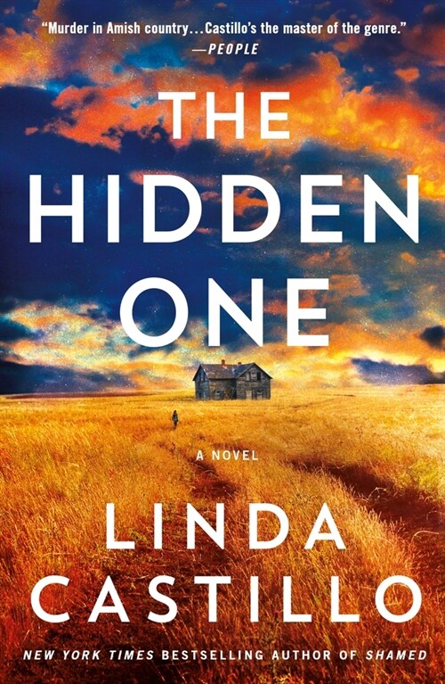 The Hidden One: A Novel of Suspense (Paperback)