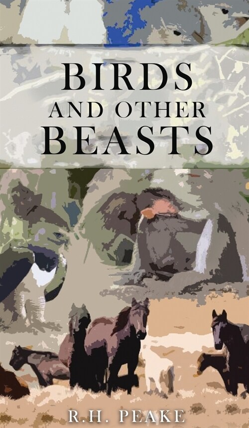Birds and other Beasts (Hardcover)
