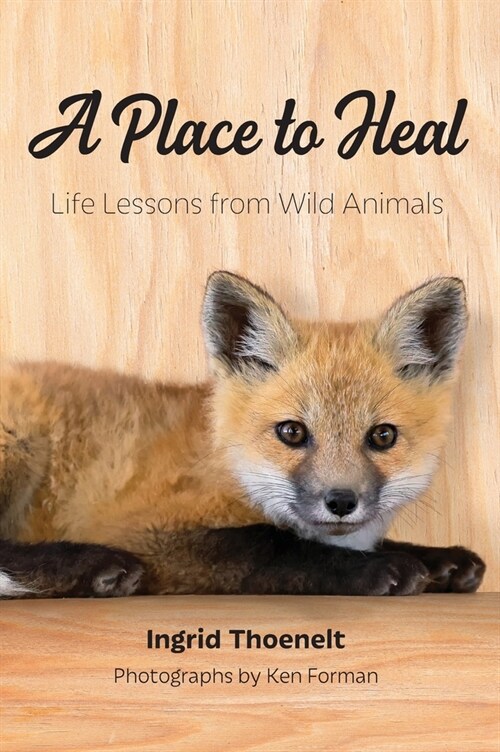 A Place to Heal: Life Lessons from Wild Animals (Hardcover)