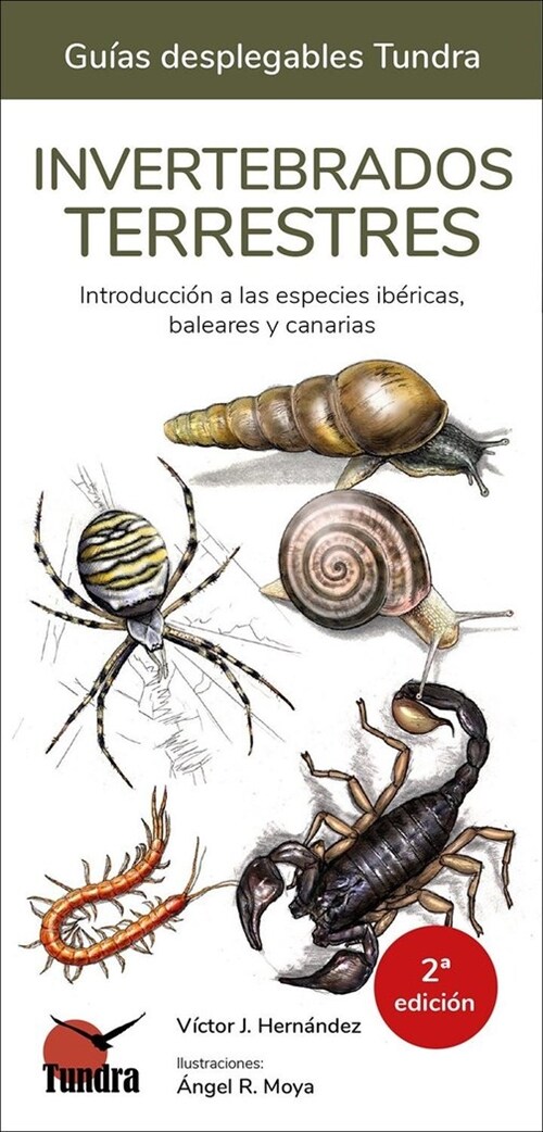 INVERTEBRADOS TERRESTRES - GUIAS DESPLEGABLES TUNDRA (Hardcover)