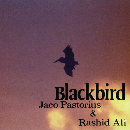 [수입] Jaco Pastorius & Rashid Ali - Blackbirds [Remastered][Ltd. Ed][일본반][CD]
