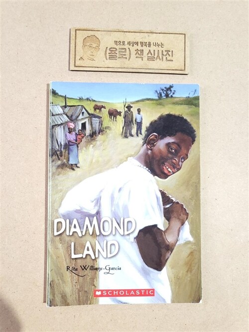 [중고] Diamond Land (Paperback)