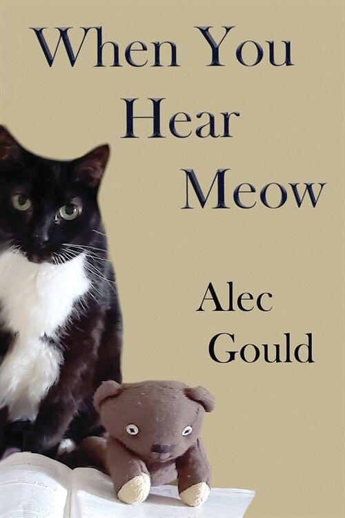 When You Hear Meow (Paperback)