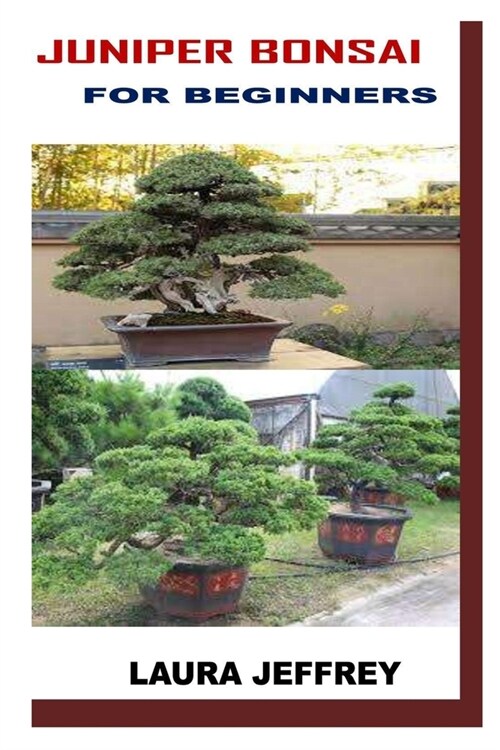 Juniper Bonsai for Beginners (Paperback)