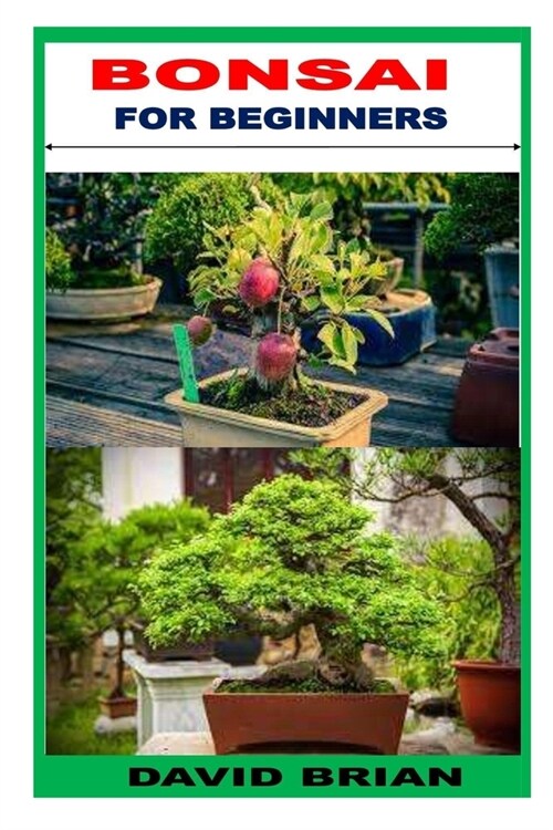 Bonsai for Beginners (Paperback)