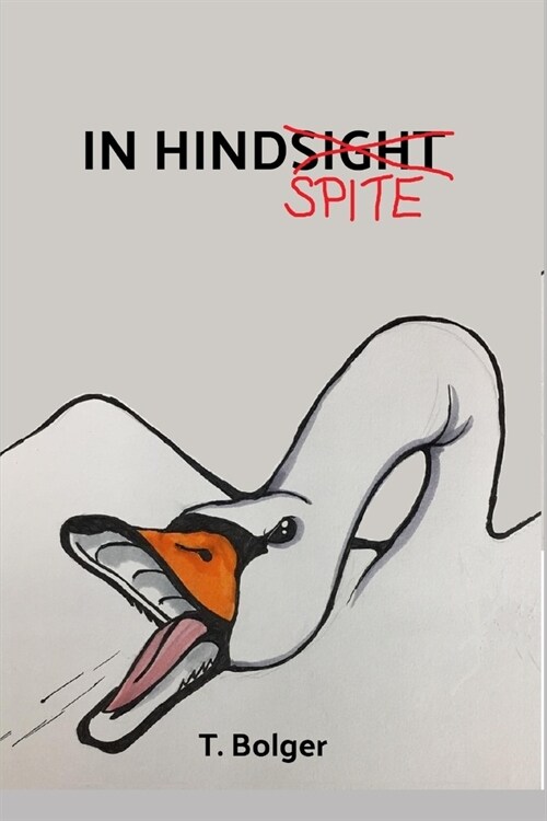 In HindSpite (Paperback)