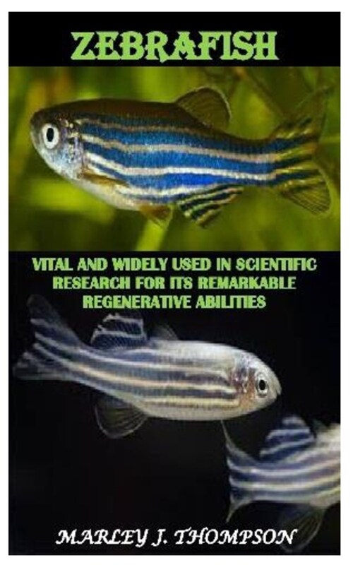 Zebrafish: Vital and Widely used in Scientific Research for Its Remarkable Regenerative Abilities (Paperback)