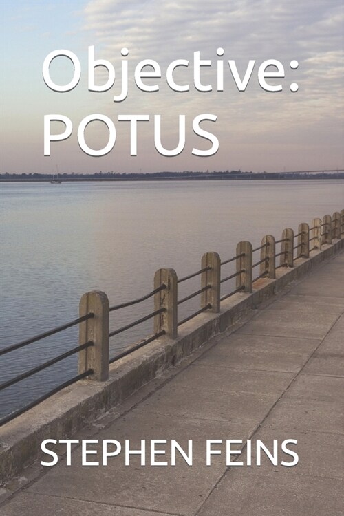Objective: Potus (Paperback)