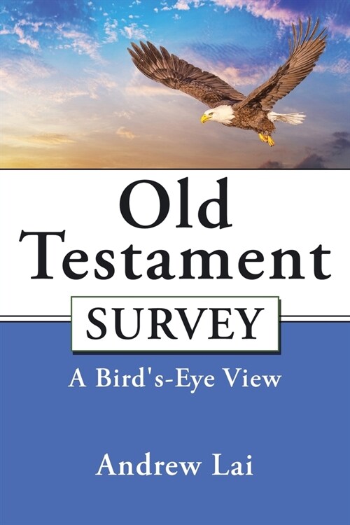 Old Testament Survey: A Birds-Eye View (Paperback)