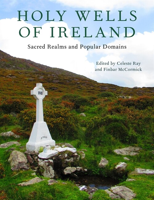 Holy Wells of Ireland: Sacred Realms and Popular Domains (Hardcover)