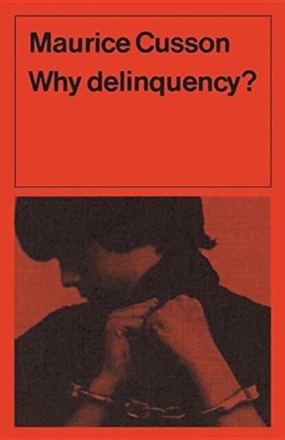 Why Delinquency? (Paperback)