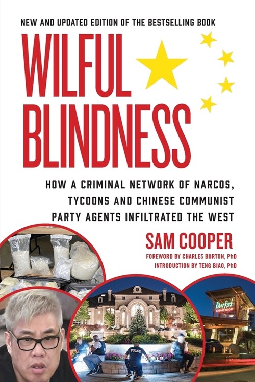 Wilful Blindness (Paperback, 2, How a Criminal)
