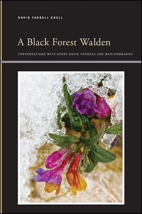 A Black Forest Walden: Conversations with Henry David Thoreau and Marlonbrando (Paperback)