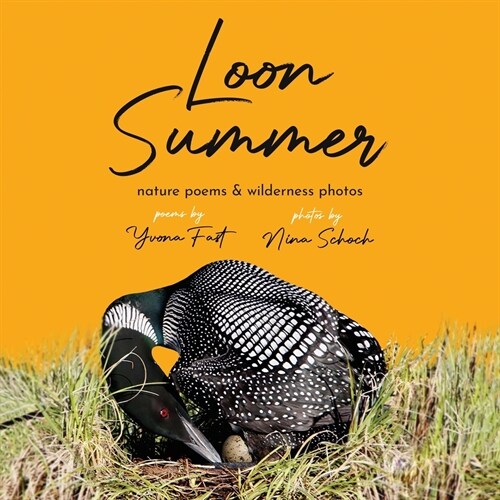 Loon Summer (Paperback)