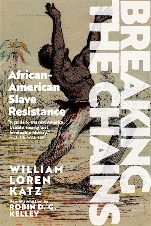Breaking the Chains: African American Slave Resistance (Paperback)
