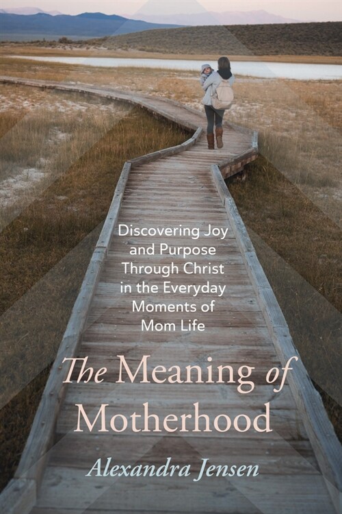 The Meaning of Motherhood (Paperback)