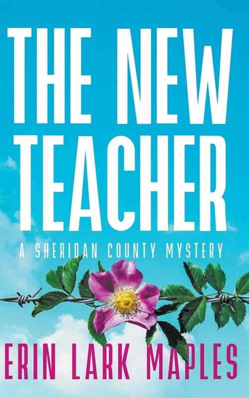 The New Teacher (Paperback)