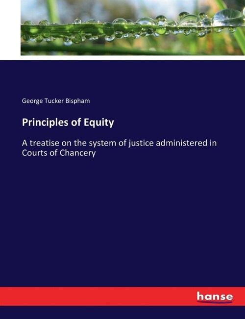 Principles of Equity: A treatise on the system of justice administered in Courts of Chancery (Paperback)