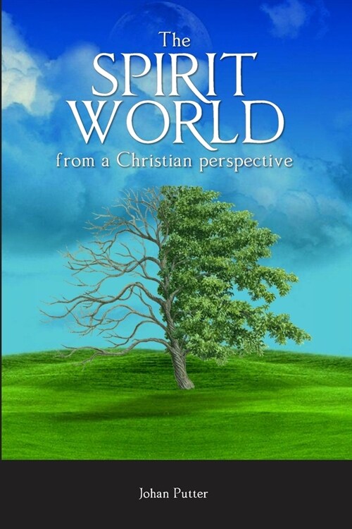 The Spirit World from a Christian Perspective (Paperback)