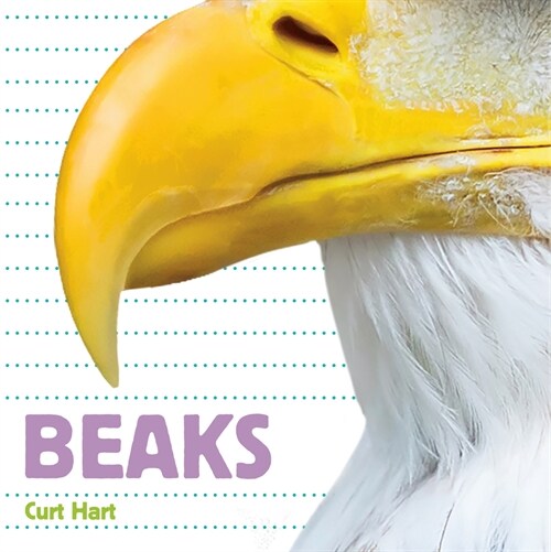 Beaks (Paperback)