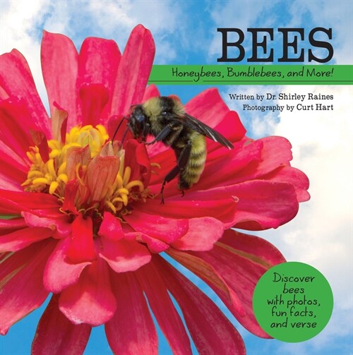 Bees: Honeybees, Bumblebees, and More! (Hardcover)